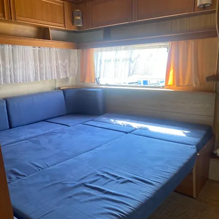 Amomea Camp *